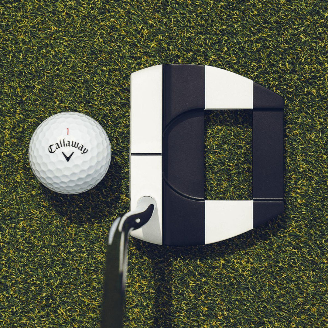 Ai-DUAL Jailbird Mini Putter