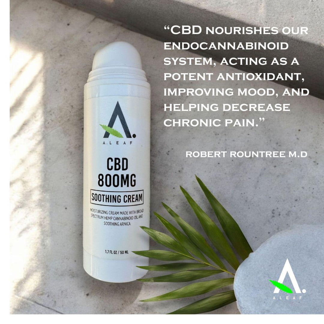 Broad Spectrum CBD Pain Relief Cream – 800mg THC-Free